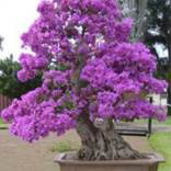 org:/landingpages/winnaars DK NO SE/23e-prize-scandinavie.jpg